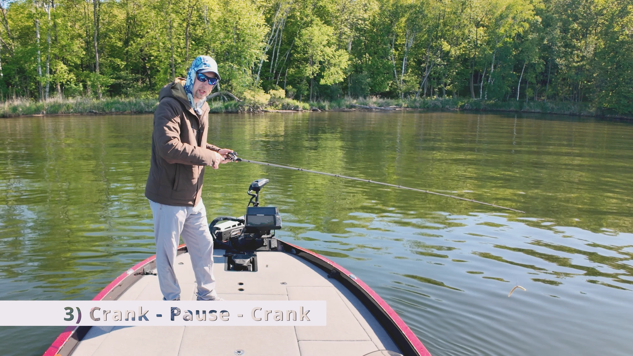 crank pause crank wacky worm technique
