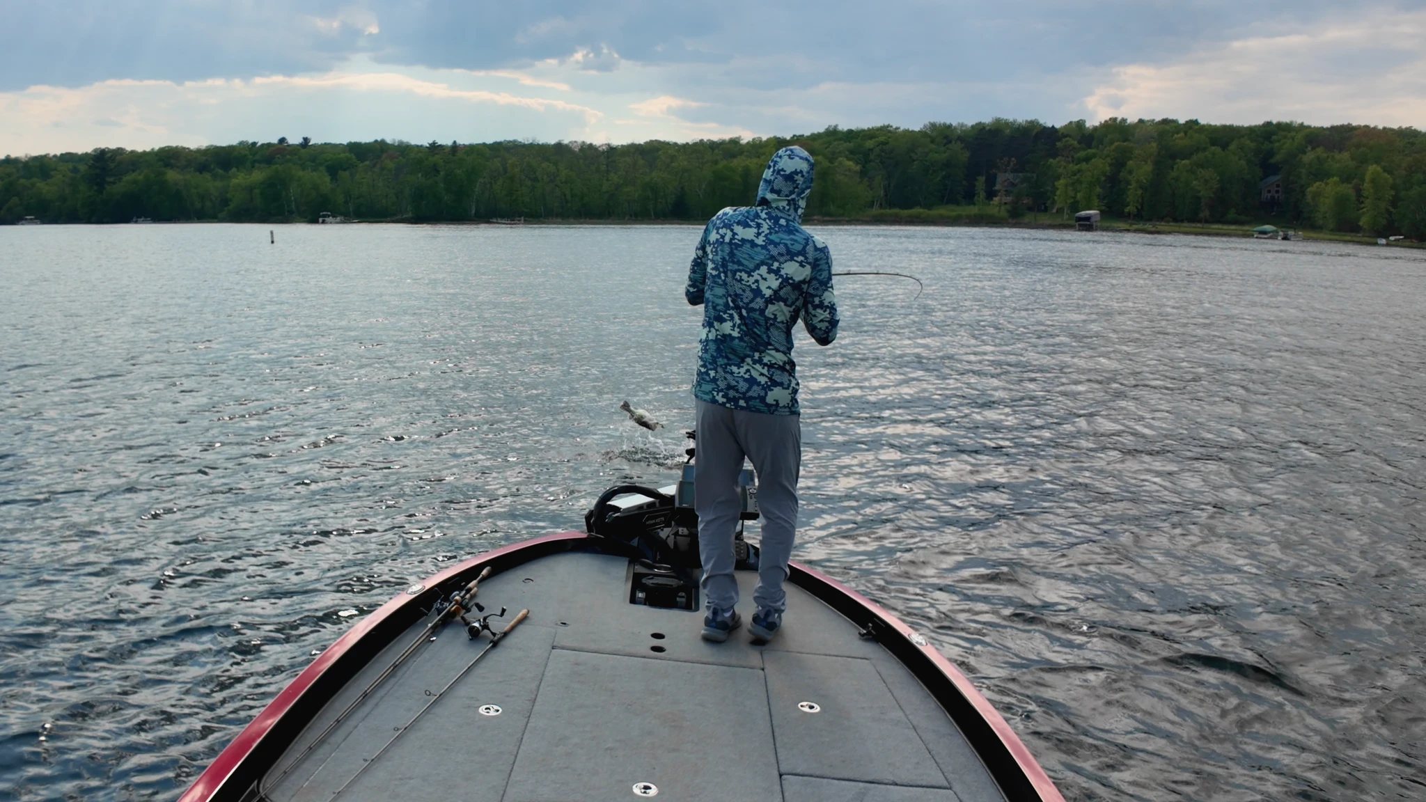 largemouth bass jumping out of water