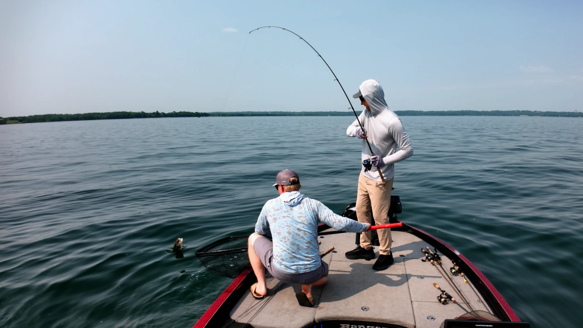 Netting the catch of largemouth bass