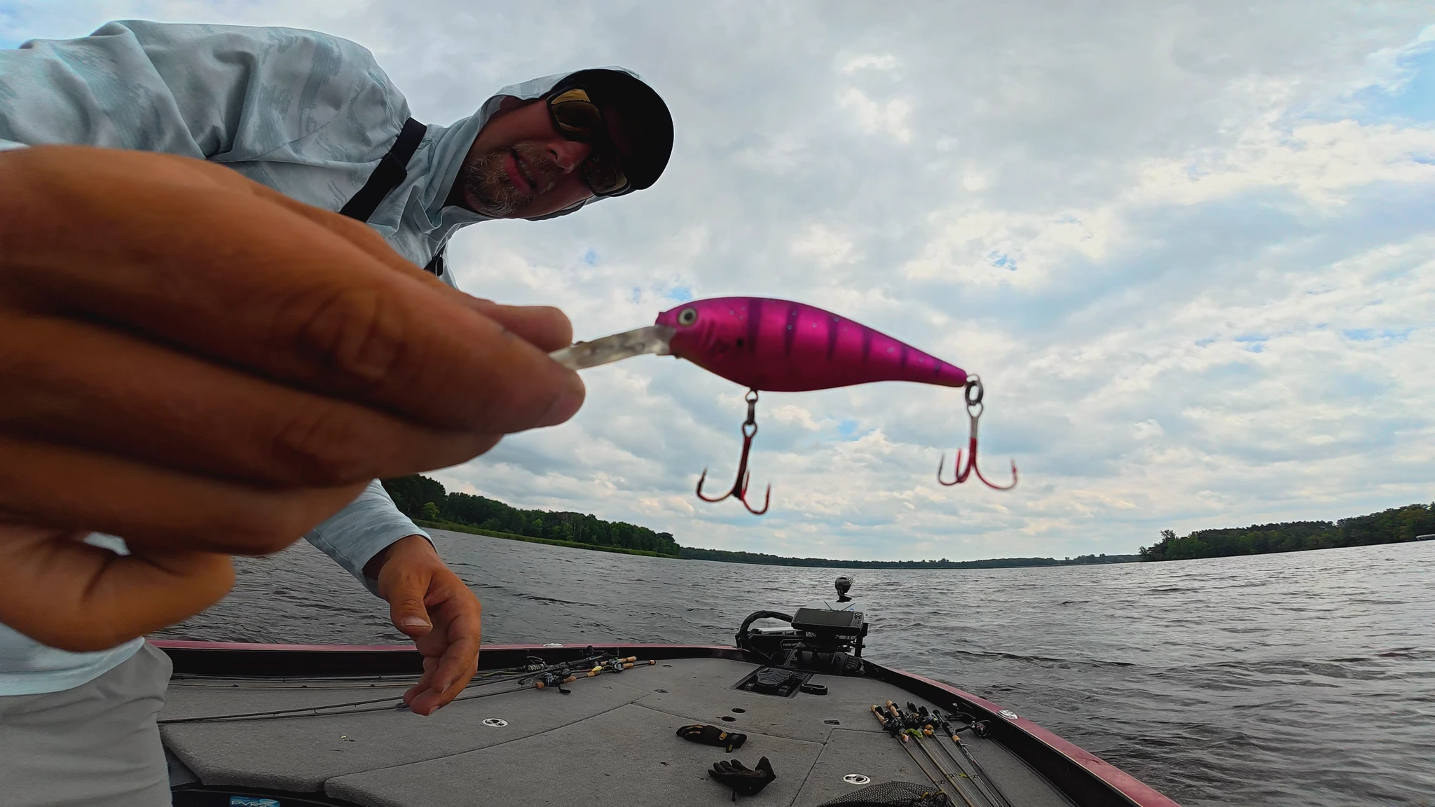 lure removed from seagull