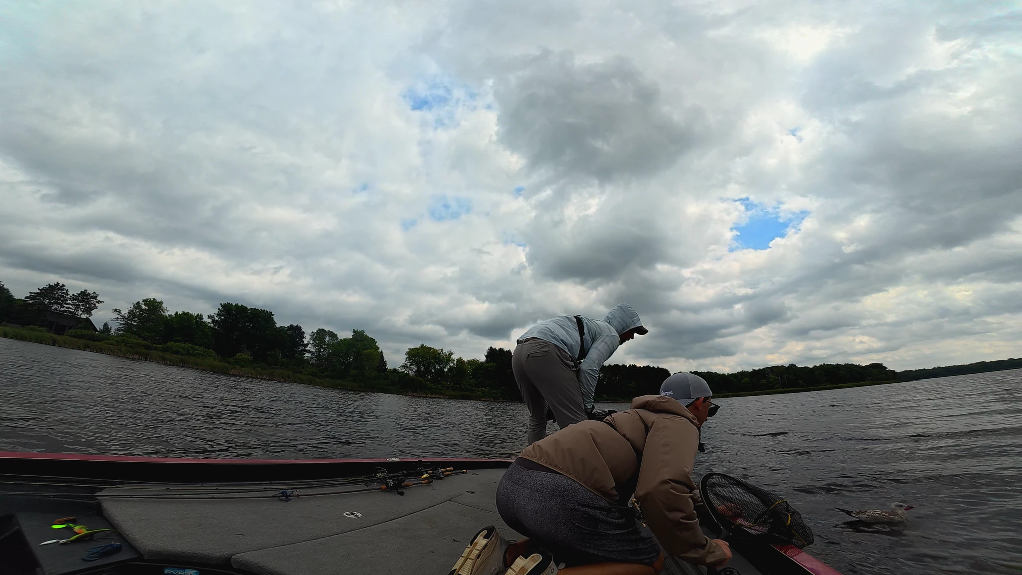 anglers trying to rescue a seagull