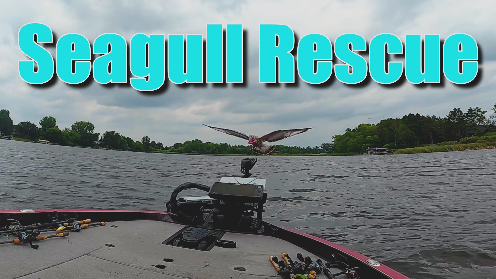 Fishing Trip Turned Lifesaving Adventure: Learning Lessons from Nature thumbnail